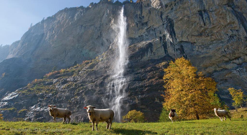 Camping Jungfrau Лаутербрунен Екстериор снимка