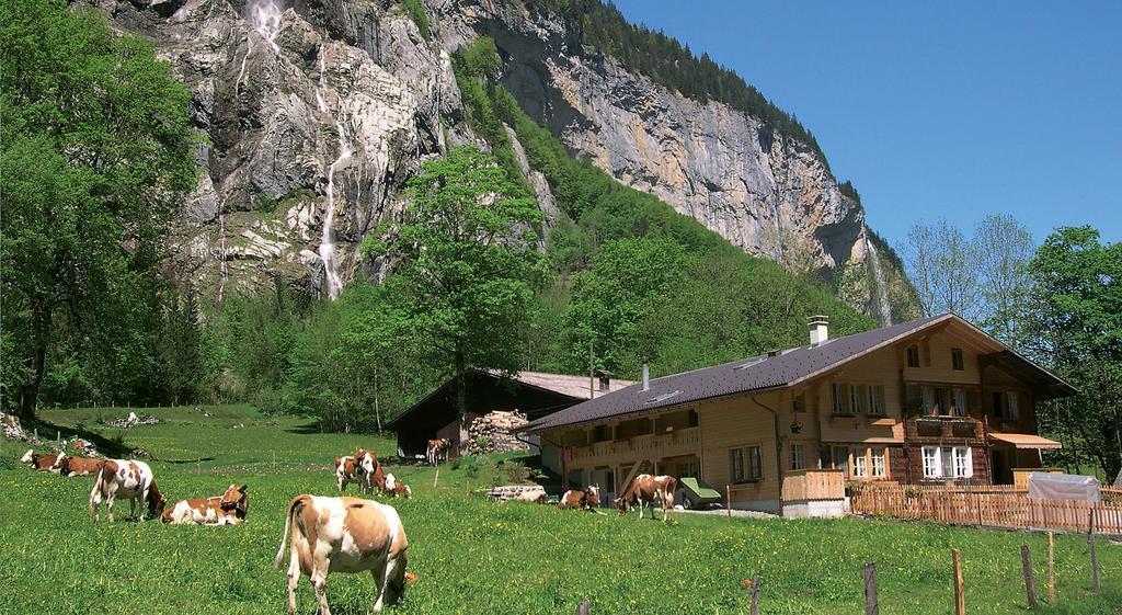 Camping Jungfrau Hotel Лаутербрунен Екстериор снимка