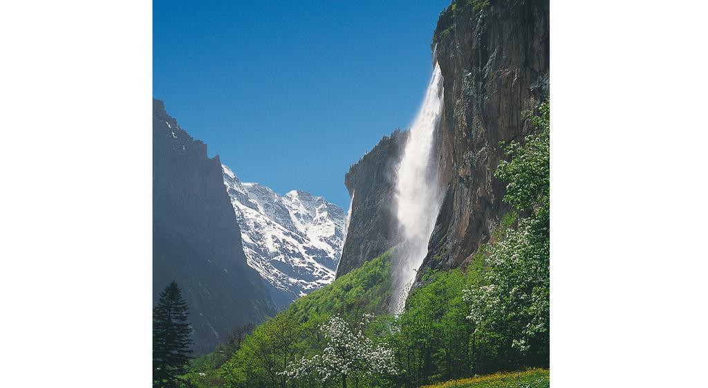 Camping Jungfrau Лаутербрунен Екстериор снимка