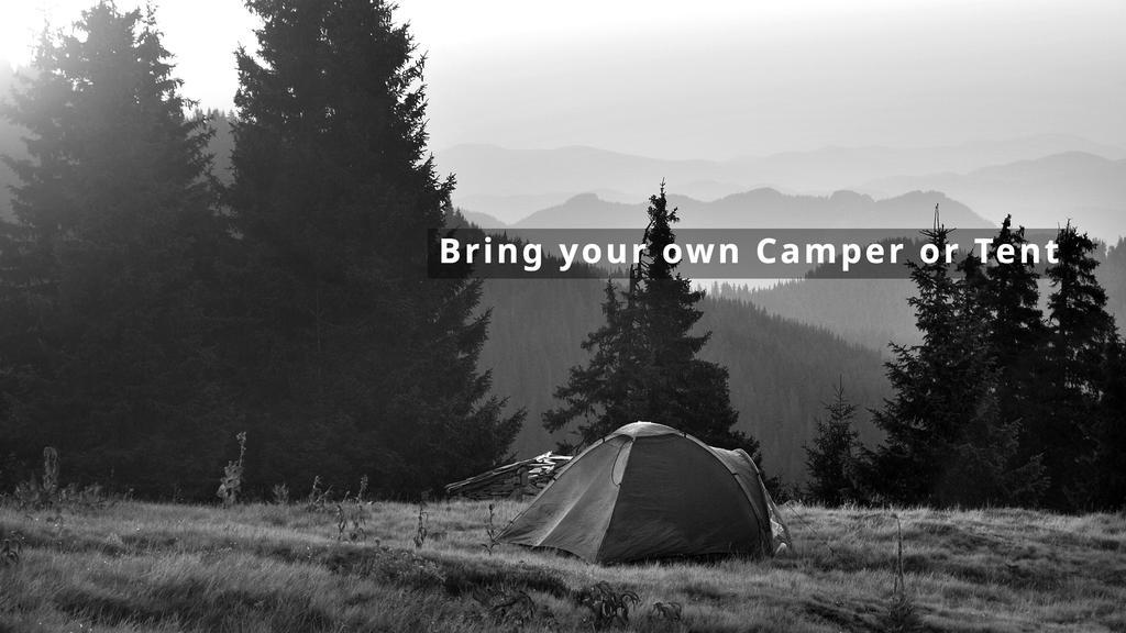 Camping Jungfrau Лаутербрунен Екстериор снимка